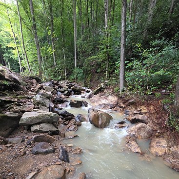 Creek flowing over rocks in the woods